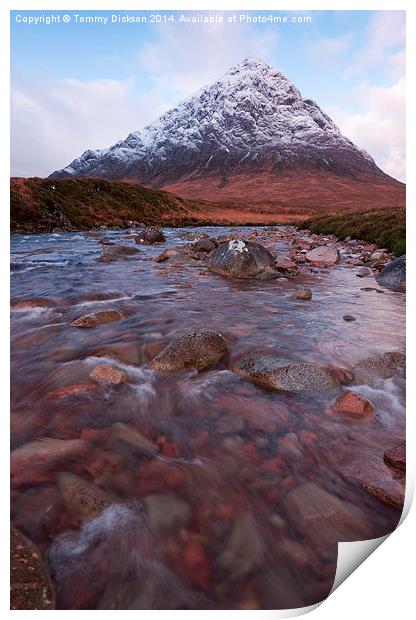 Majestic Buichaille Etive Mor in Winter Print by Tommy Dickson