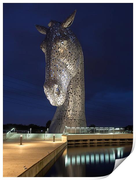 Kelpie - Head Down. Print by Tommy Dickson