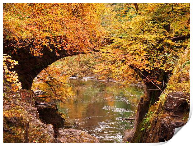 Vibrant Autumn Foliage at The Hermitage Dunkeld Print by Tommy Dickson