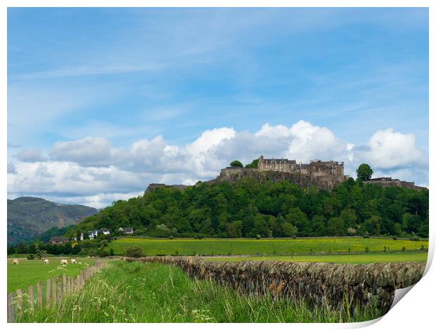 Stirling Castle. Print by Tommy Dickson