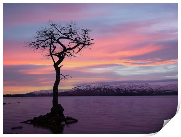 Serene Scottish Sunset Print by Tommy Dickson