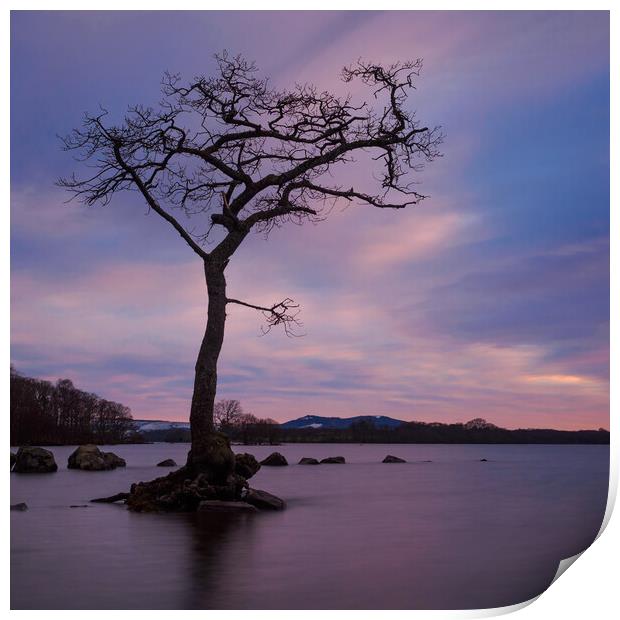 Loch Lomond At Sunset Print by Tommy Dickson