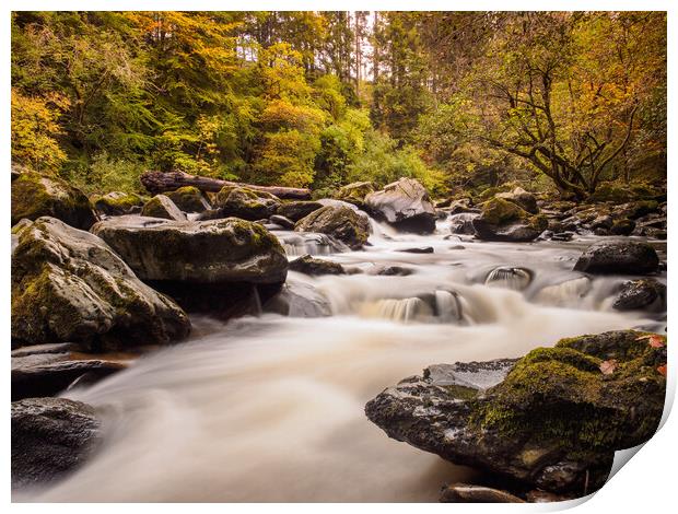 Autumn on the River Braan, Birnam. Print by Tommy Dickson