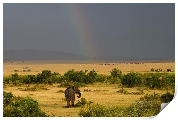 Masai Mara Rainbow Print by Mike Snelle