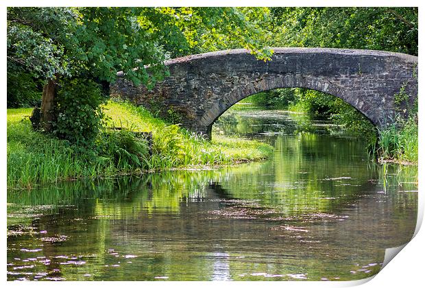 Bridge over Neath canal Print by Paul Nicholas