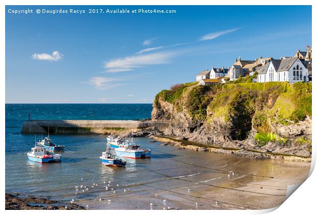 Port Isaac harbour, Cornwall Print by Daugirdas Racys