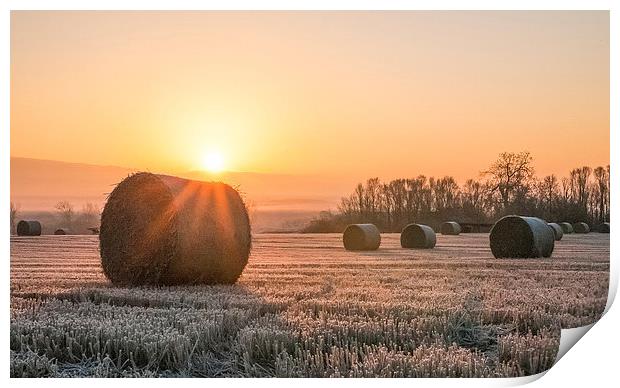 Sunrise over the Bales Print by Roz Greening