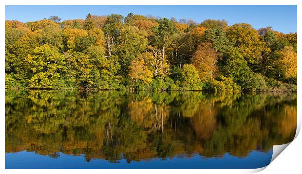 Autumn Reflections Print by James Meacock