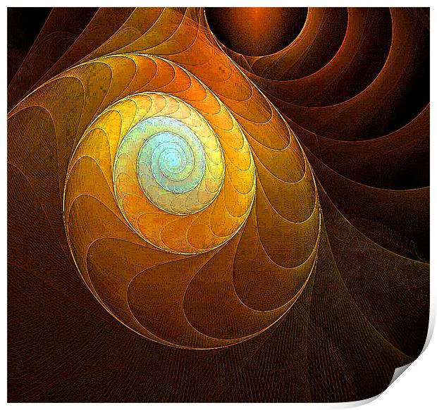 Golden Spiral Print by Amanda Moore
