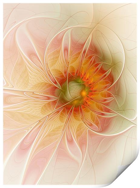 Peaches and Cream Print by Amanda Moore