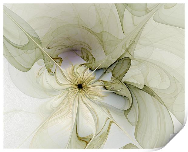 Silk Petals Print by Amanda Moore
