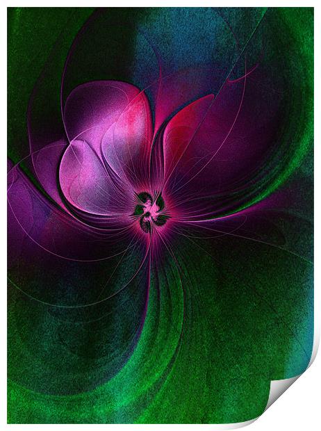 Passion Flower Print by Amanda Moore