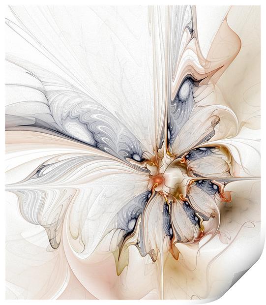 Iris Print by Amanda Moore