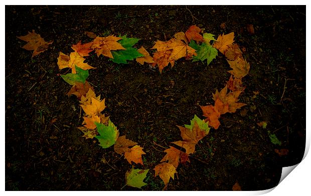  leaf heart Print by Marina Otto