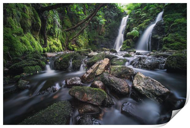 Venford Brook Falls Print by Mike French