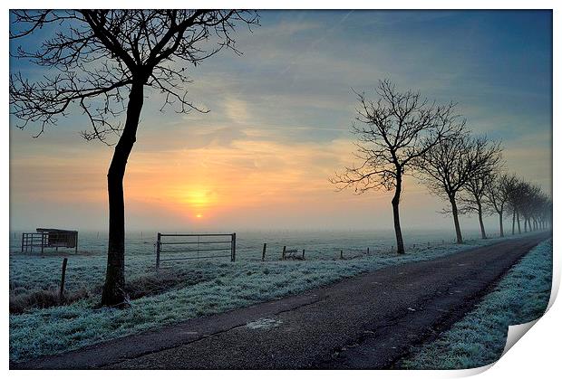 Winter Sunrise Print by Ron Ver