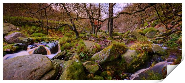 Woodland Stream panoramic Print by Mike Higginson