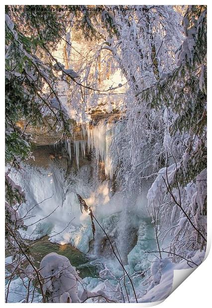 Waterfall, Scheidegg, Germany Print by Mark Bangert
