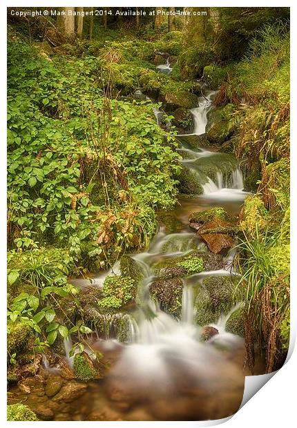 Burgbach Waterfall, Black Forest, Germany 4 Print by Mark Bangert