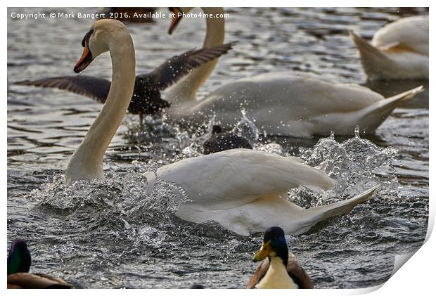 Spot of turbulence Print by Mark Bangert