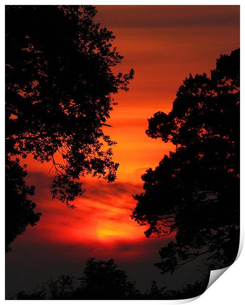 Sunset Between The trees Print by Mike Gorton