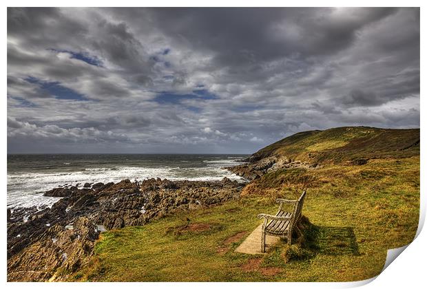 The Bench on Baggy Point Print by Mike Gorton