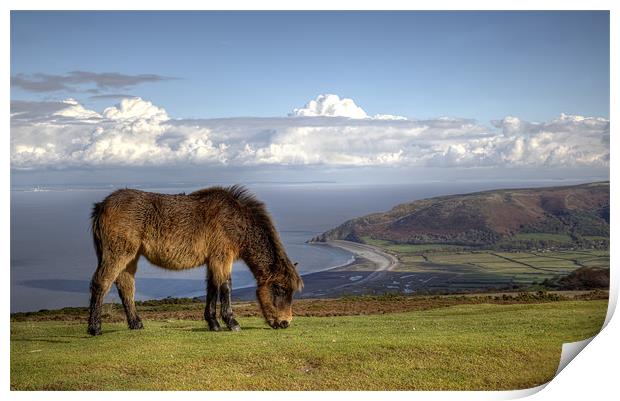 Exmoor Pony over Bossington Beach to Wales Print by Mike Gorton