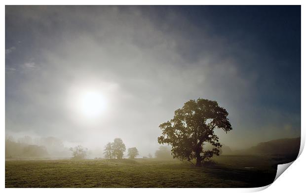 Early Morning Mist Print by Mike Gorton