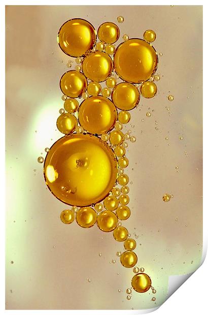 Oil Droplets Print by Mike Gorton