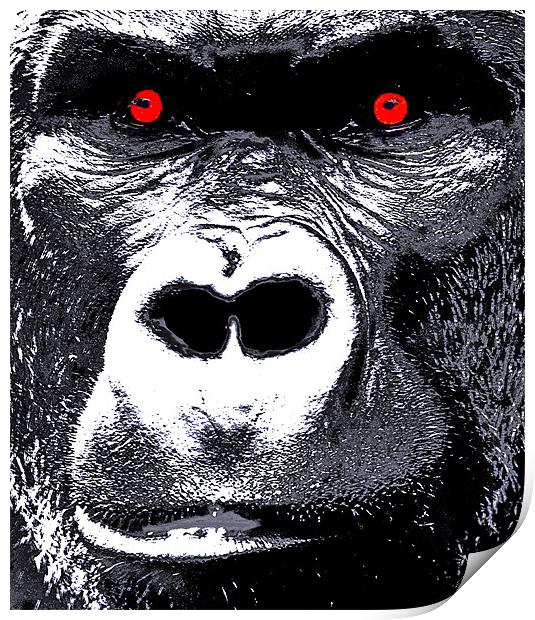 In The eyes Of A Gorilla Print by Mike Gorton
