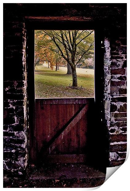 Autumn viewed from an open window Print by Mike Gorton