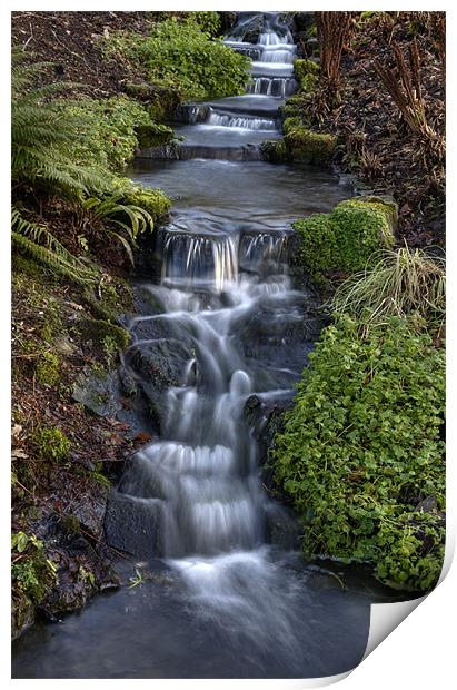 Winter Stream Waterfall Print by Mike Gorton