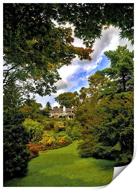 Marwood House Print by Mike Gorton