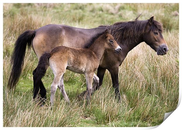 Me and My Mum Print by Mike Gorton