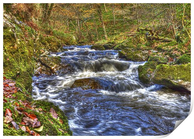 Through The Woods Waterfall Print by Mike Gorton