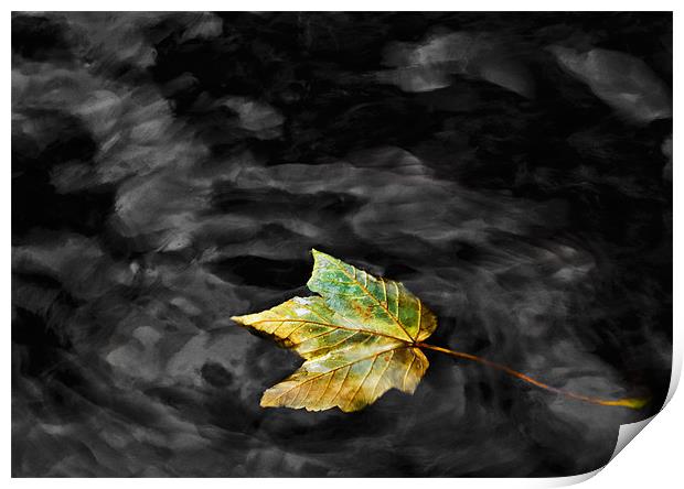Autumn Leaf Print by Mike Gorton