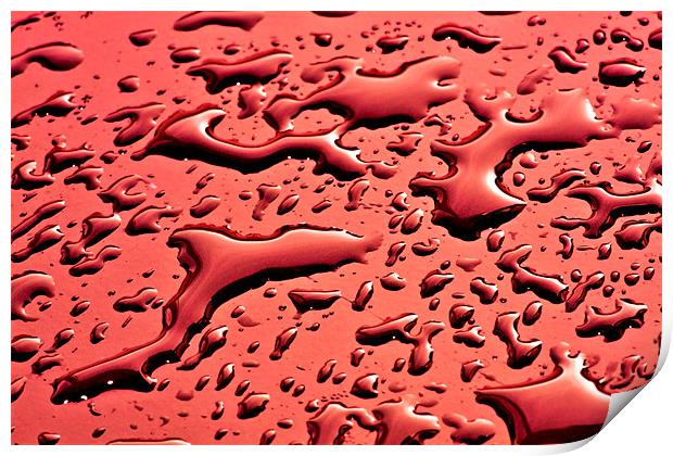 Red water Print by Mike Gorton