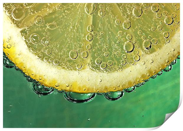 Lemon and Bubbles Print by Mike Gorton