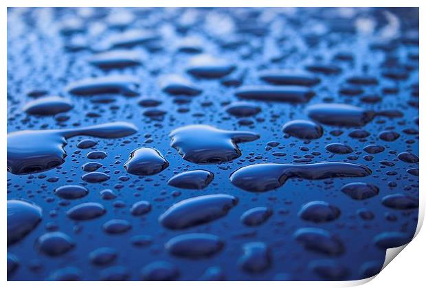  Rain Beads  Print by Tim Bell