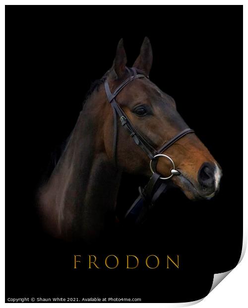 Frodon Print by Shaun White