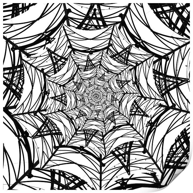 Spiderweb Pylon Print by Shaun White