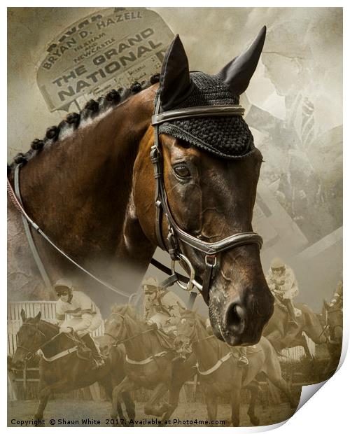 Race Horse Dreams Print by Shaun White