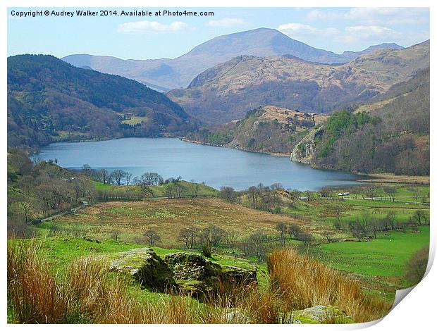 Welsh Lakes Print by Audrey Walker