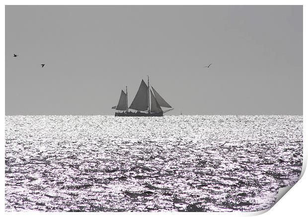 Sailing Print by Piet Peters