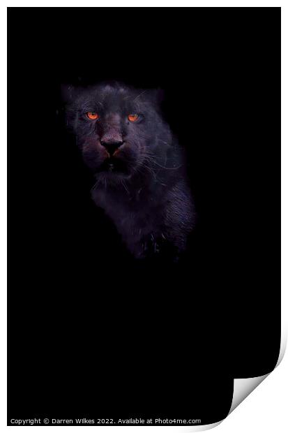 Jaguar In The Shadows  Print by Darren Wilkes