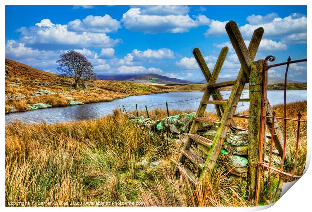 Llyn y dywarchen Beddgelert Snowdonia Print by Darren Wilkes