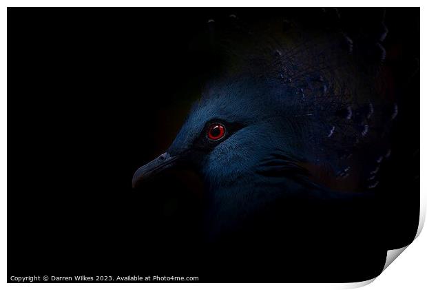 Crowned Pigeon - Right Side Print by Darren Wilkes