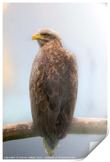 White Tailed Sea Eagle In The Fog  Print by Darren Wilkes