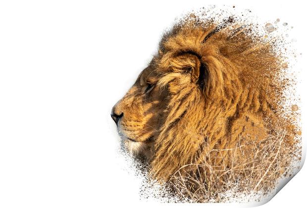 Lion Head Splatter Art Print by Darren Wilkes