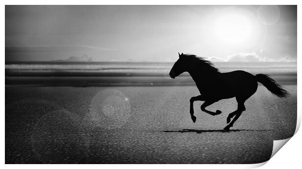 silhouette of the black horse galloping alone on the beach Print by Guido Parmiggiani